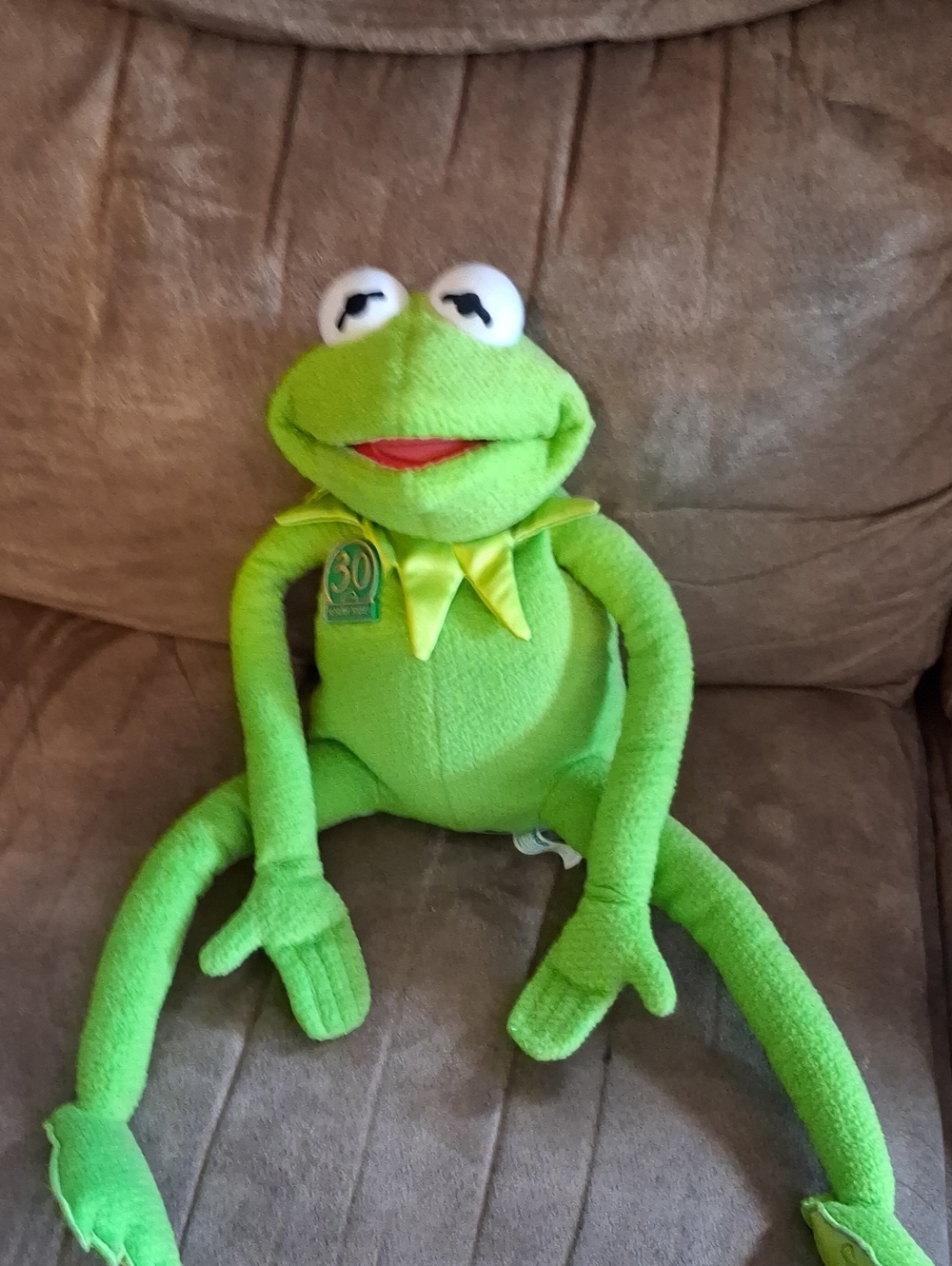 Rare Sesame Street Collectible KERMIT THE FROG Sings .TYCO